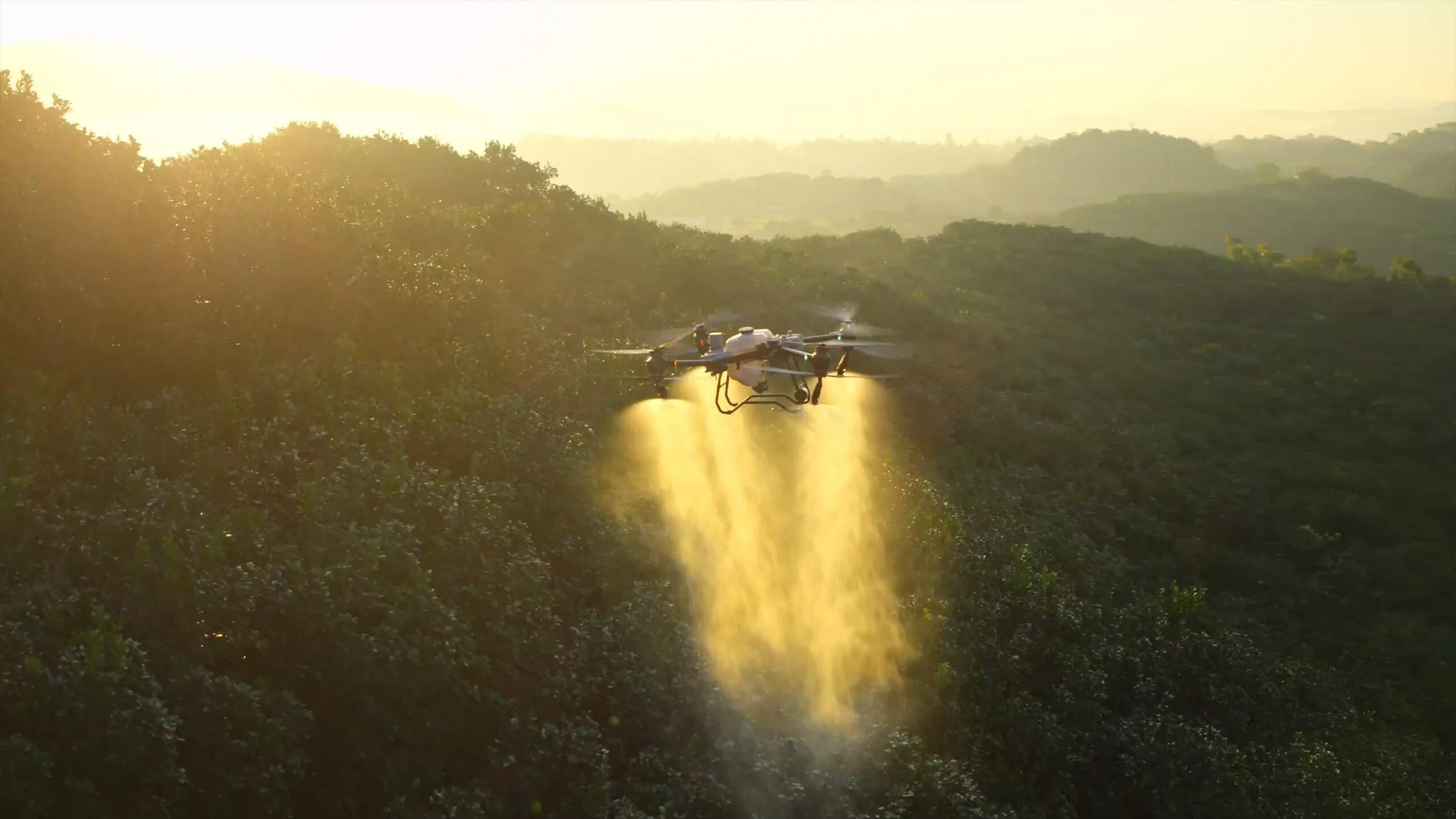 산림 위를 방제하는 DJI AGRAS T50